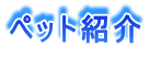 �y�b�g�Љ�